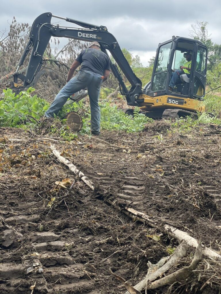 Big Horn Excavating and Walnut Logging Services LLC
